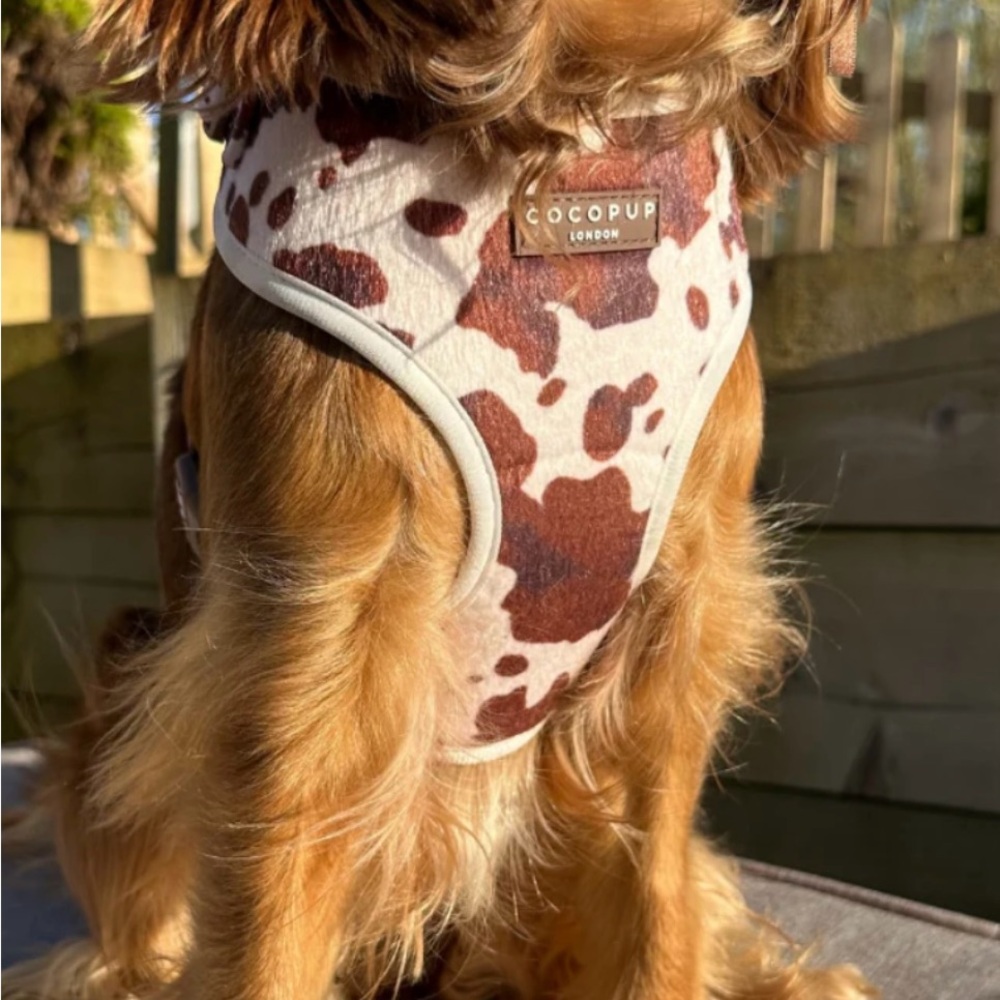 Dog Harness - Brown and Cream